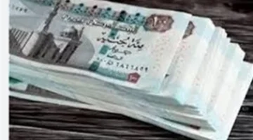 انطلاق الرواتب.. 24 نوفمبر يشهد بدء صرف رواتب العاملين بالجهاز الإداري للدولة